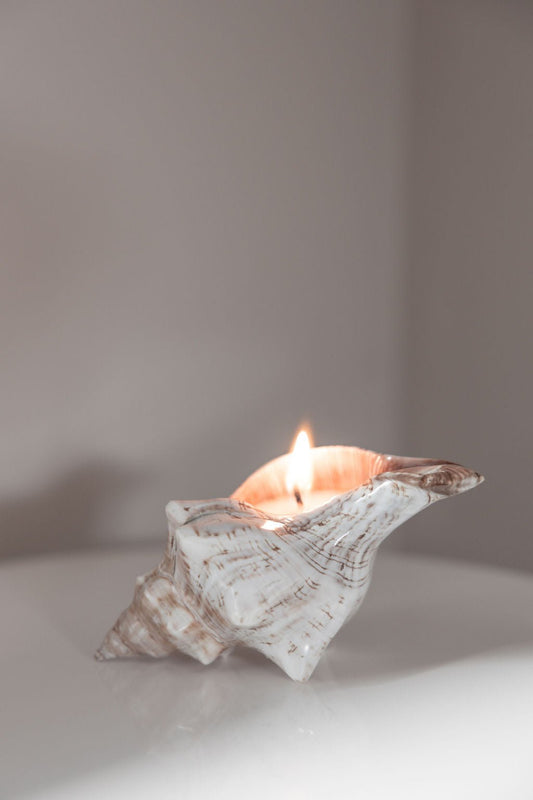 Diffusers - Arome Moderne